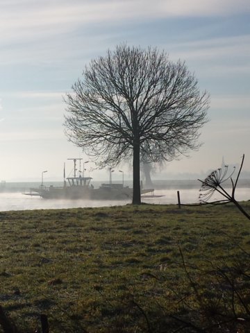 2014NWK 018.jpg